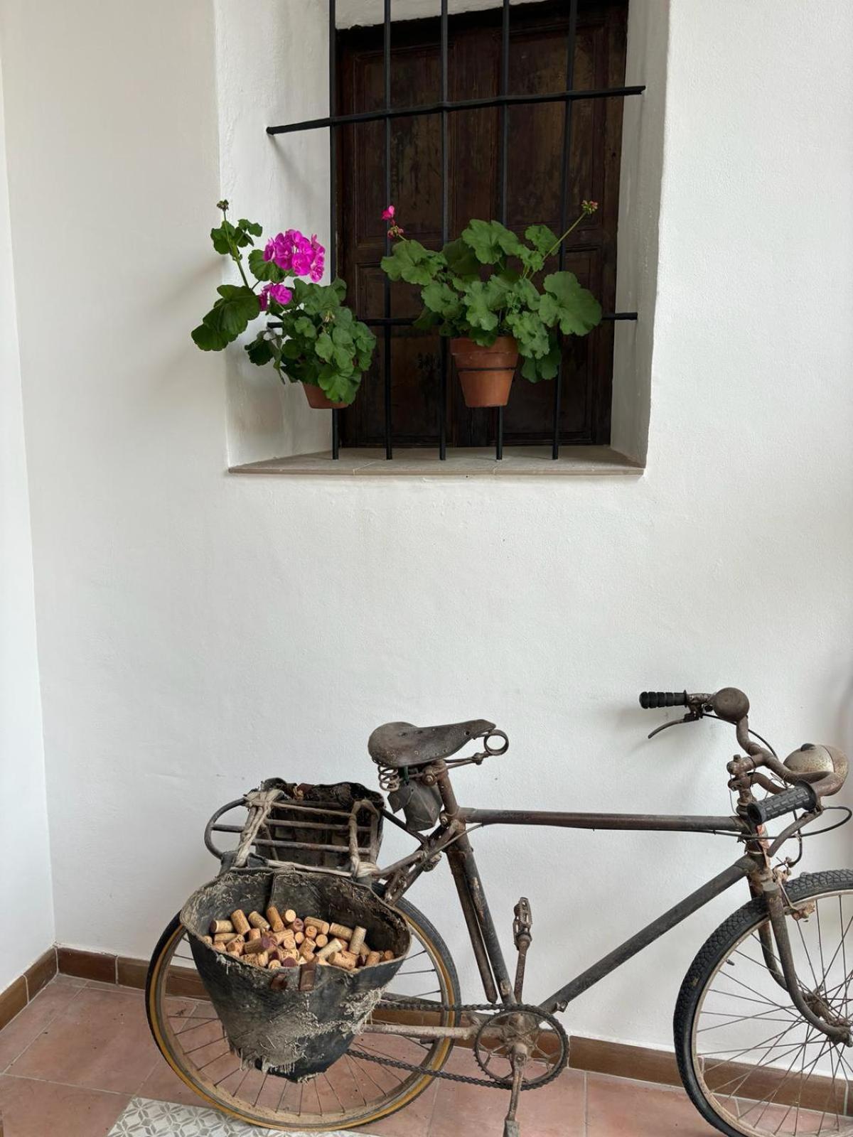 Art Boutique La Casona De Las Flores 온다라 외부 사진